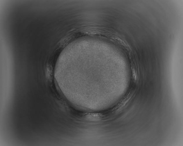 X0000100230332200806201449