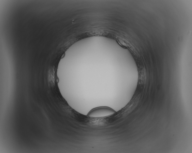 X0000100230334200806201449