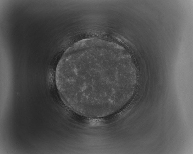 X0000100230336200806201449