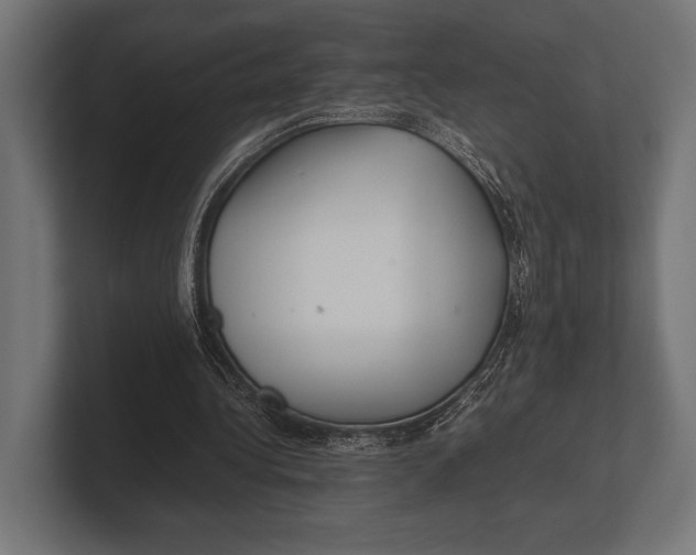 X0000100230340200806201448