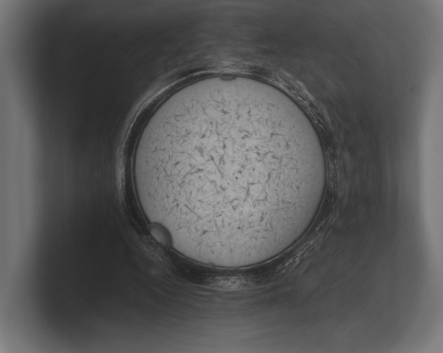 X0000100230344200806201448