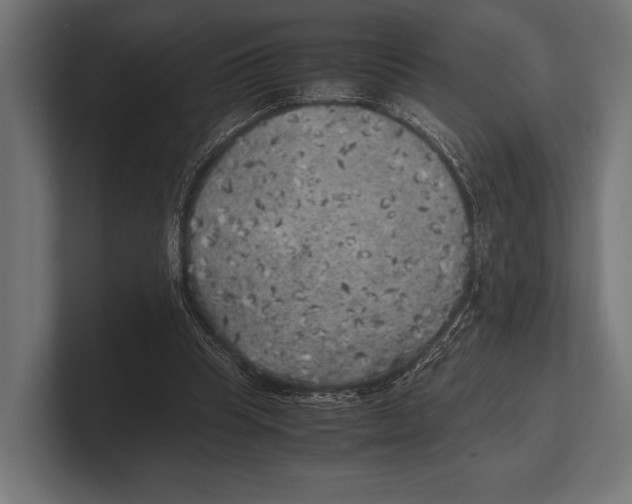 X0000100230345200806201448