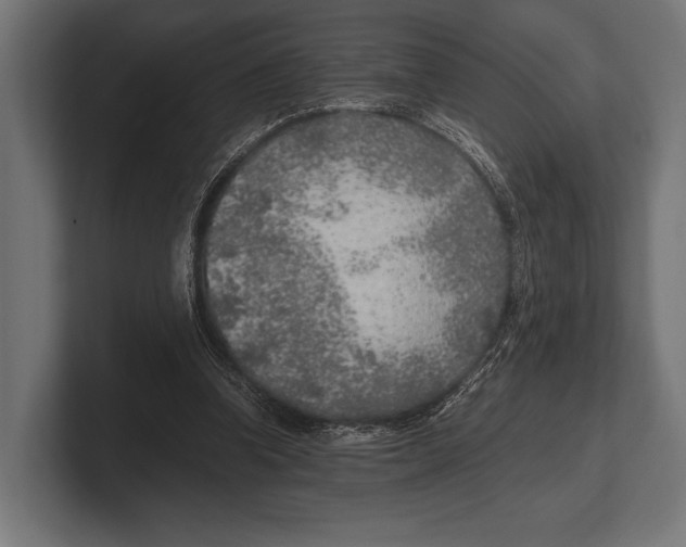 X0000100230346200806201448