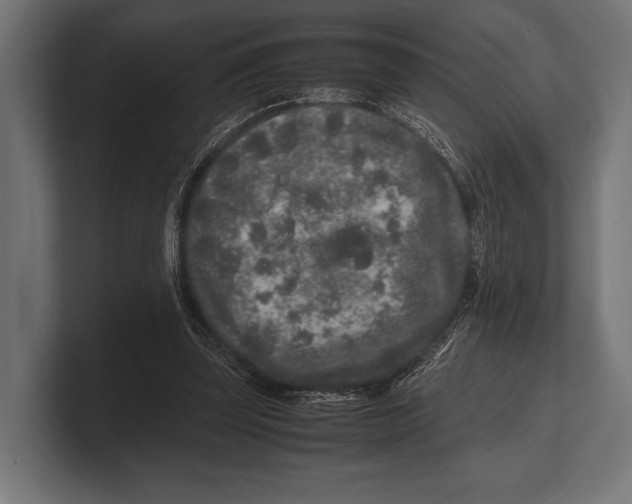 X0000100230347200806201448