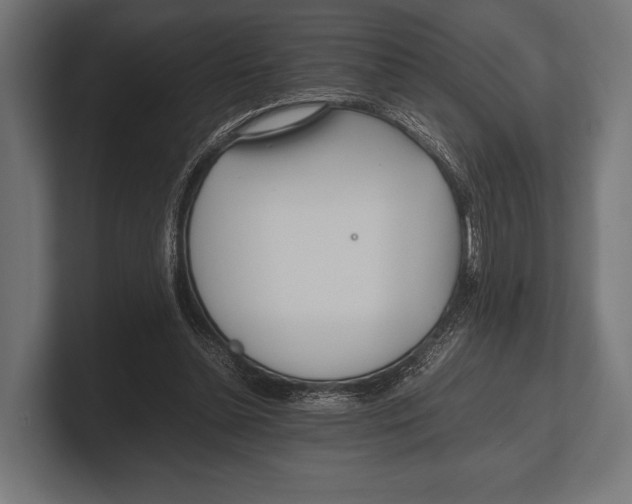 X0000100230348200806201448