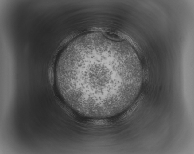 X0000100230349200806201448