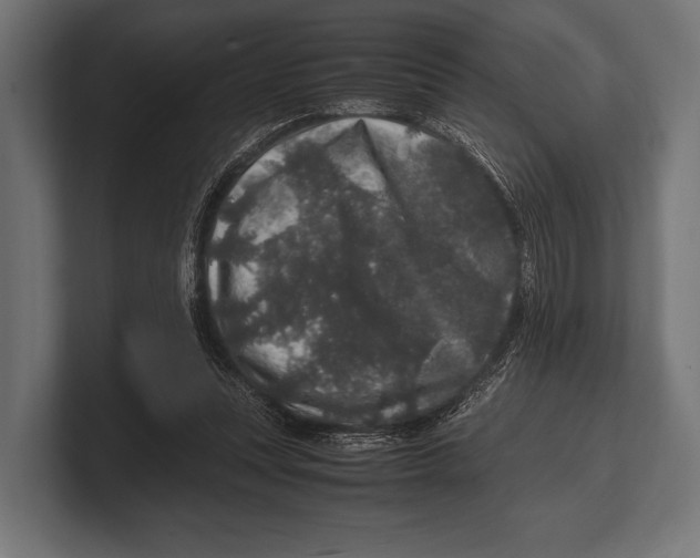 X0000100230351200806201448