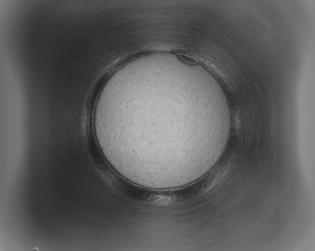 X0000100230352200806201448