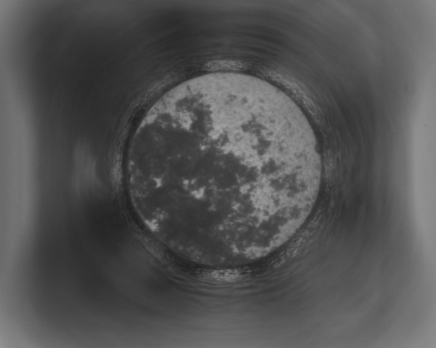 X0000100230353200806201448