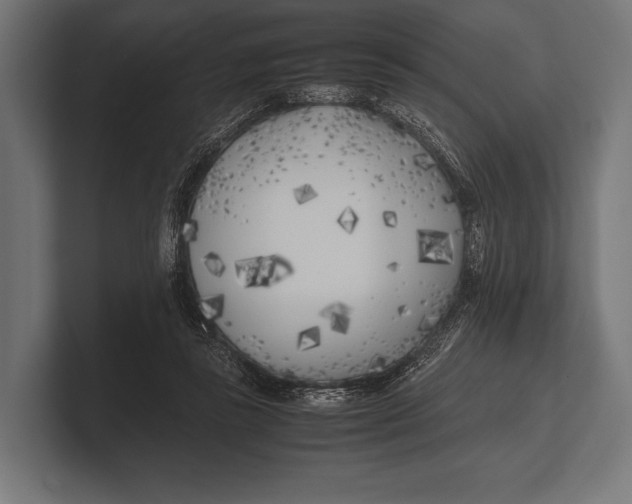 X0000100230355200806201448