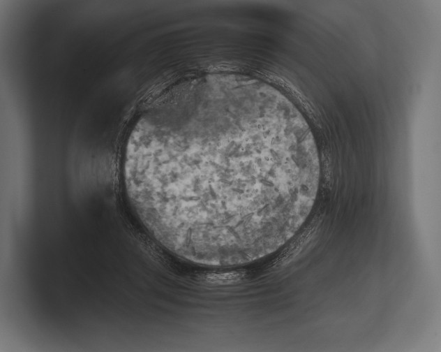 X0000100230357200806201448