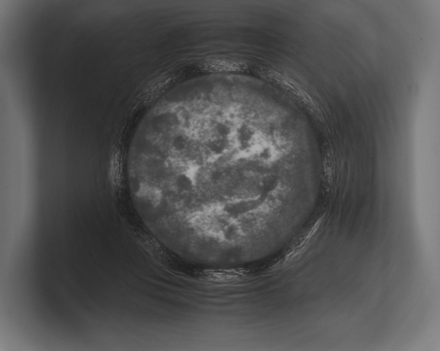 X0000100230359200806201449