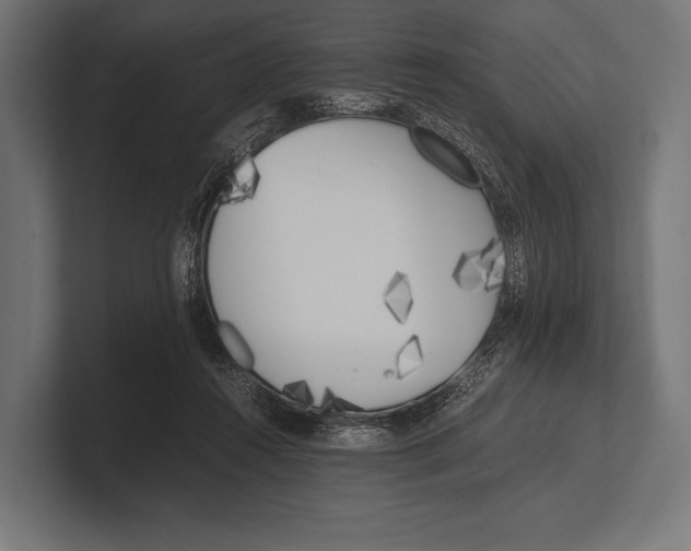 X0000100230360200806201449