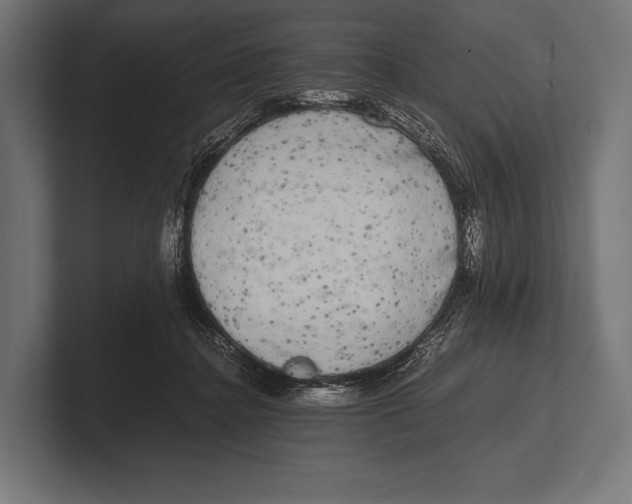 X0000100230364200806201449