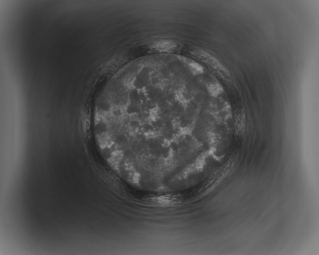 X0000100230365200806201449