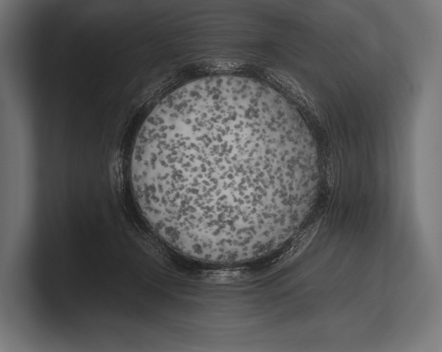 X0000100230366200806201449