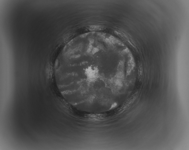 X0000100230367200806201449