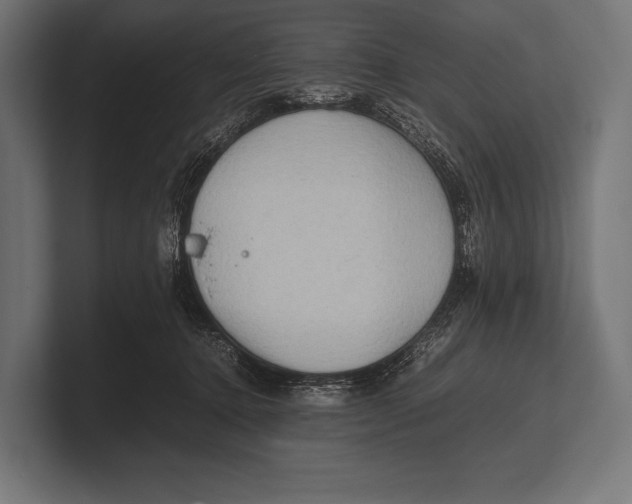 X0000100230368200806201449