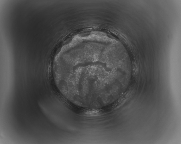 X0000100230369200806201449