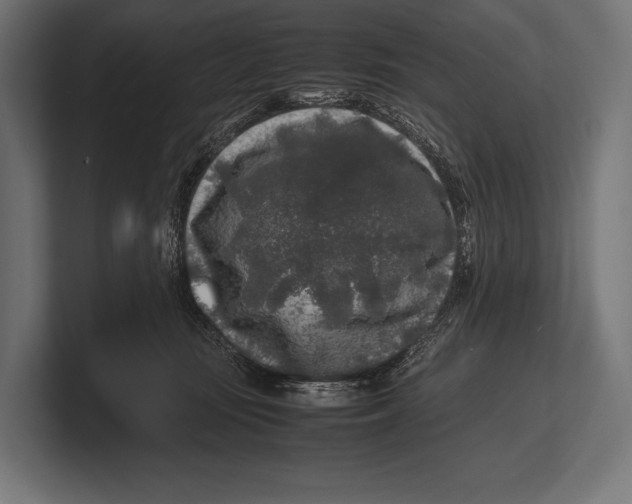 X0000100230371200806201449