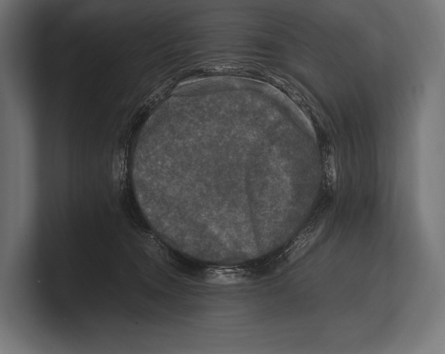 X0000100230372200806201449