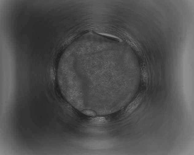 X0000100230374200806201449