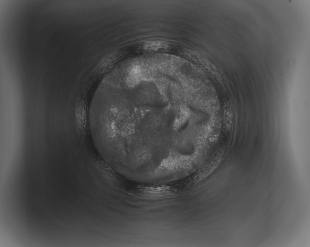 X0000100230375200806201449