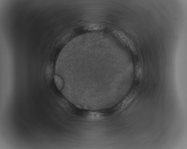 X0000100230376200806201449