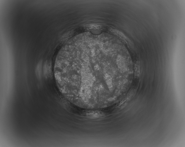 X0000100230377200806201449