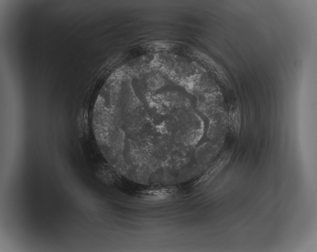 X0000100230381200806201449