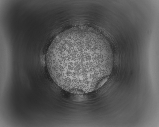 X0000100230383200806201449