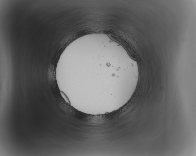 X0000100230384200806201449