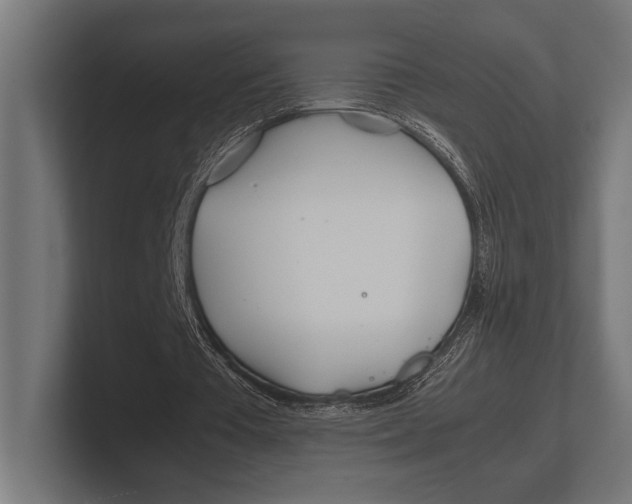 X0000100230385200806201448