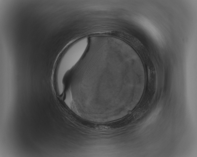 X0000100230387200806201448