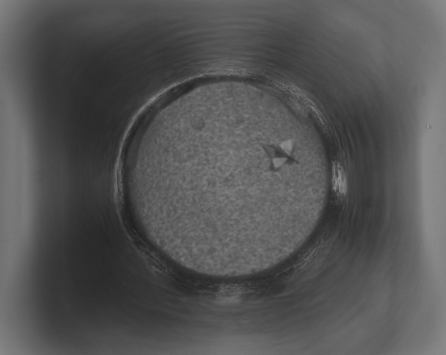 X0000100230388200806201448