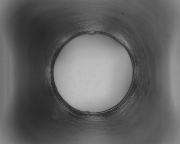 X0000100230389200806201448