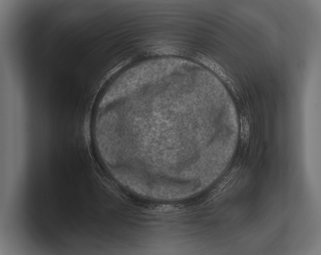 X0000100230390200806201448