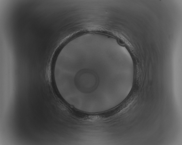 X0000100230391200806201448