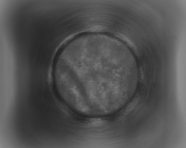 X0000100230392200806201448