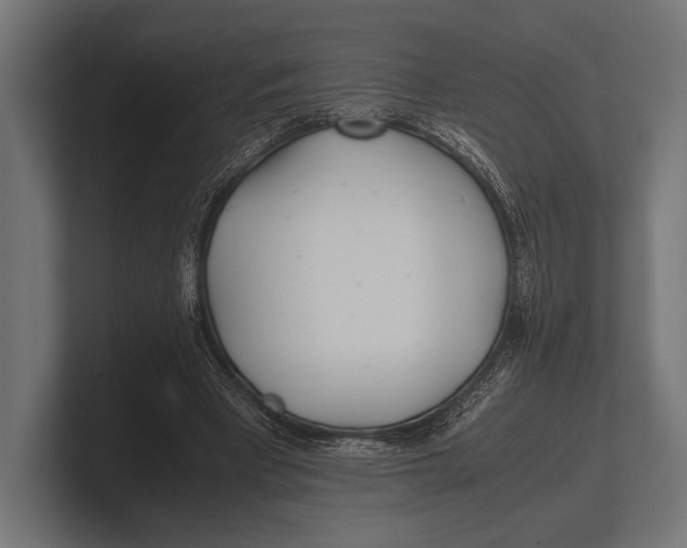 X0000100230393200806201448