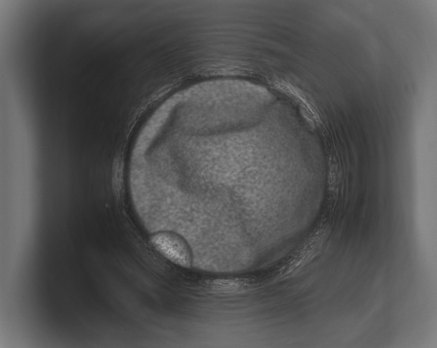 X0000100230394200806201448