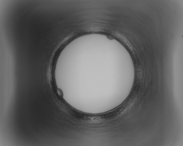 X0000100230395200806201448