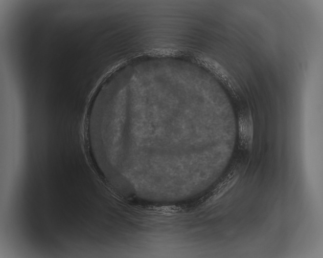 X0000100230396200806201448