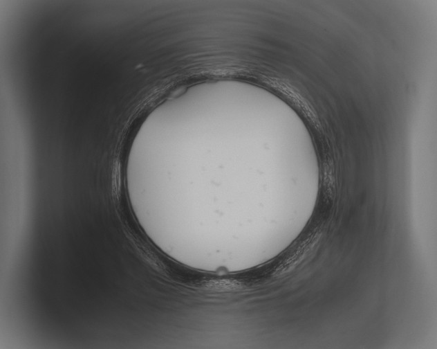 X0000100230397200806201448