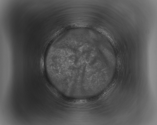 X0000100230398200806201448