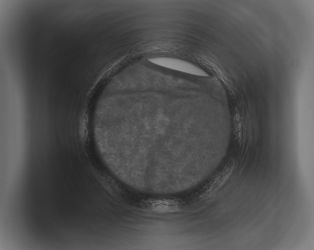 X0000100230400200806201448