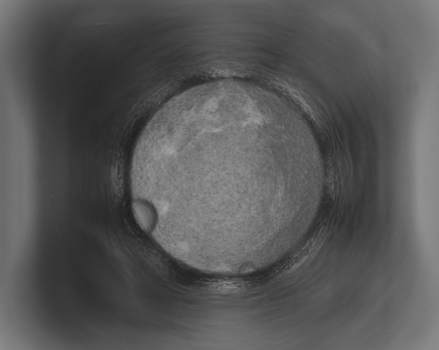 X0000100230402200806201448