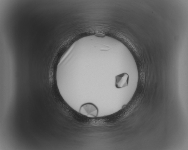 X0000100230403200806201448