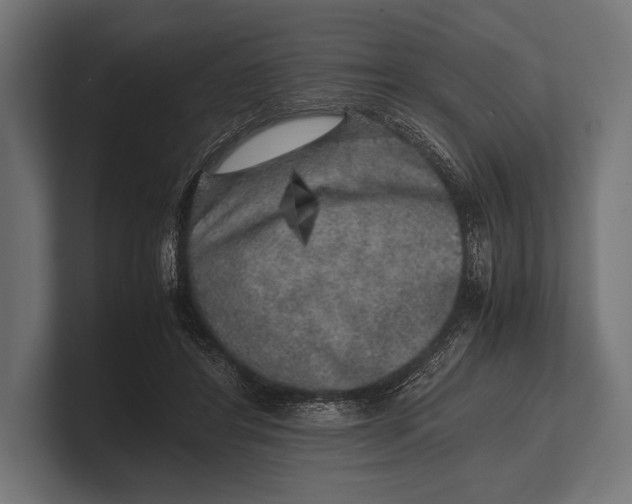 X0000100230404200806201448