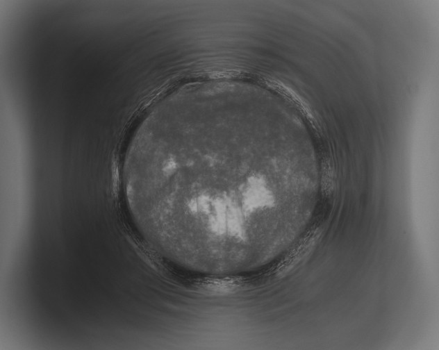 X0000100230405200806201448